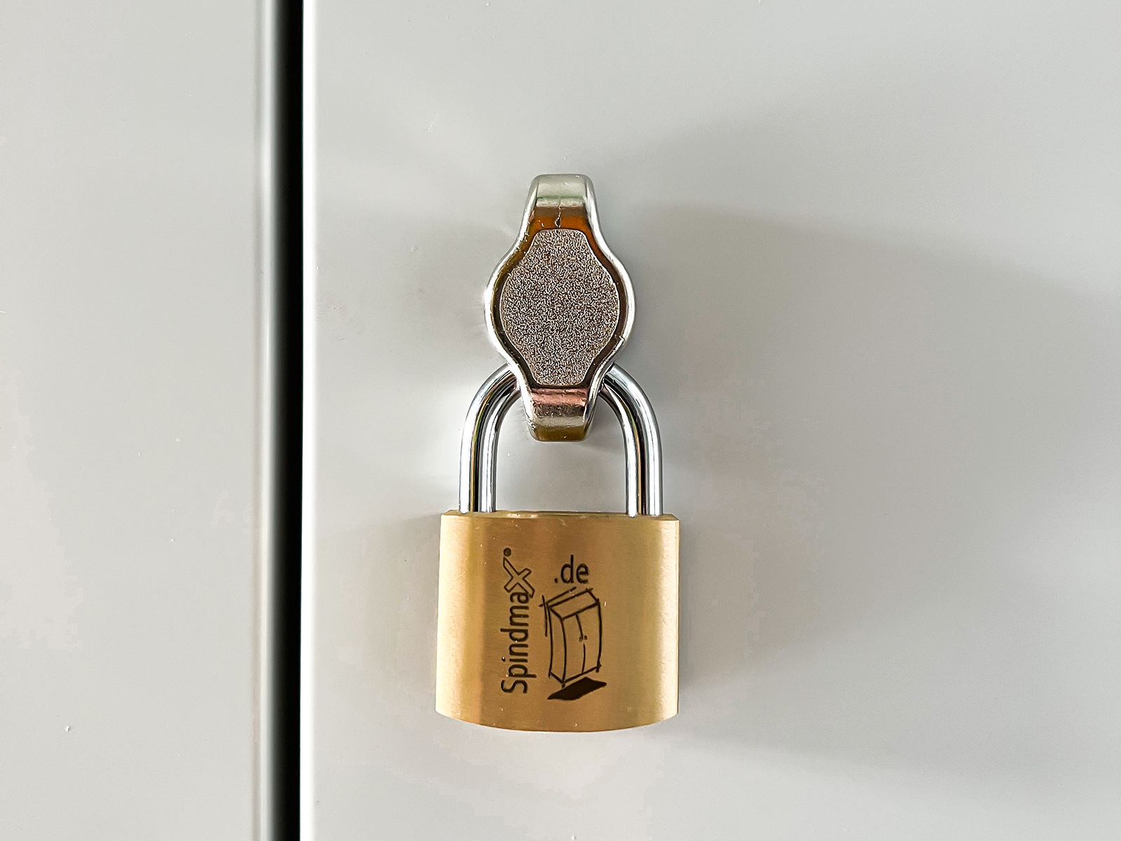 Drehriegel mit Vorhängeschloss Typ 1