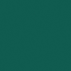 Moosgrün RAL 6005