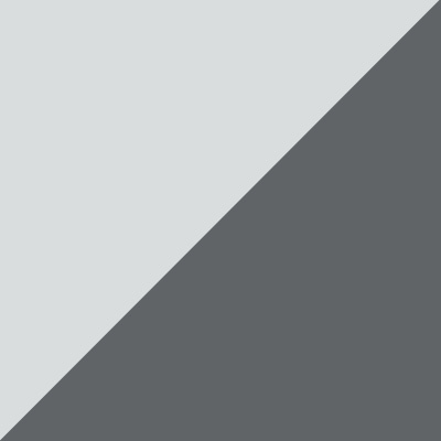 Lichtgrau RAL 7035 / Grau Metallic NCS S 6502-B